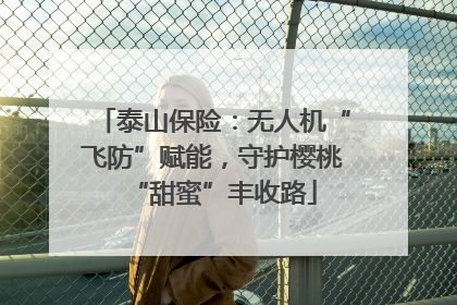 泰山保险：无人机“飞防”赋能，守护樱桃“甜蜜”丰收路