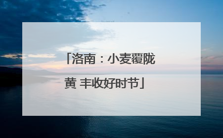 洛南：小麦覆陇黄 丰收好时节