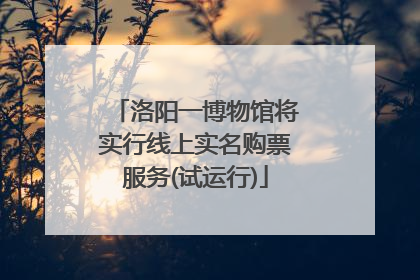 洛阳一博物馆将实行线上实名购票服务(试运行)