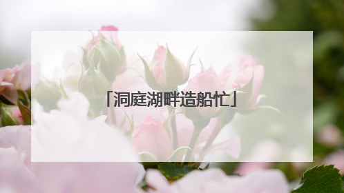 洞庭湖畔造船忙