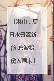 洪山：夏日水景添新韵 碧波粉黛入画来