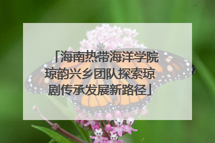 海南热带海洋学院琼韵兴乡团队探索琼剧传承发展新路径