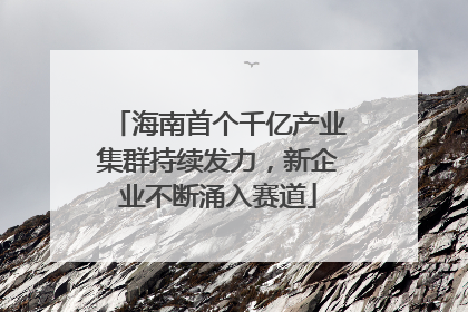 海南首个千亿产业集群持续发力，新企业不断涌入赛道