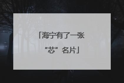 海宁有了一张“芯”名片