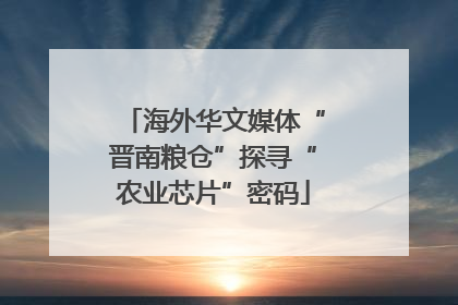 海外华文媒体“晋南粮仓”探寻“农业芯片”密码