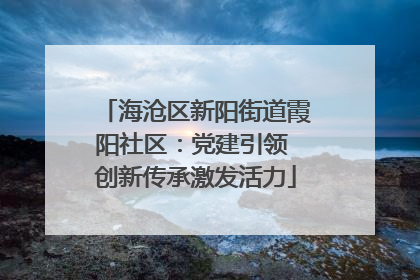 海沧区新阳街道霞阳社区：党建引领 创新传承激发活力