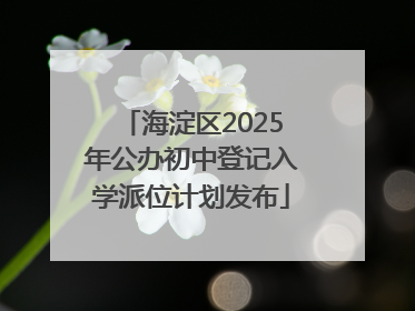 海淀区2025年公办初中登记入学派位计划发布