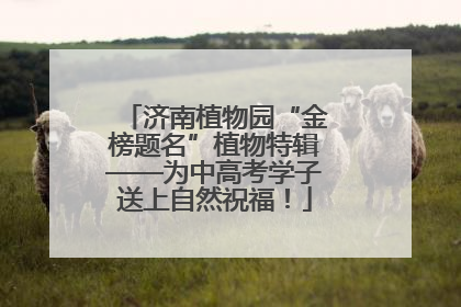 济南植物园“金榜题名”植物特辑——为中高考学子送上自然祝福！