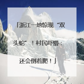 浙江一地惊现“双头蛇”！村民吓懵：还会倒着爬！