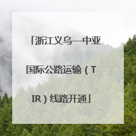 浙江义乌—中亚国际公路运输（TIR）线路开通