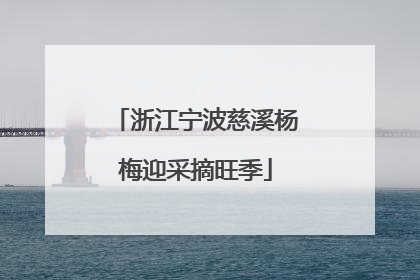 浙江宁波慈溪杨梅迎采摘旺季