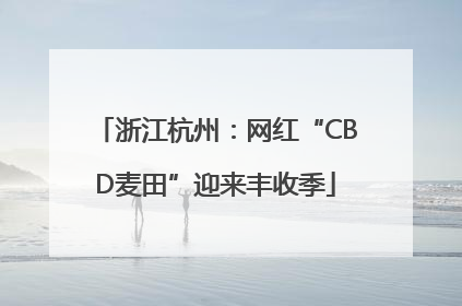 浙江杭州：网红“CBD麦田”迎来丰收季