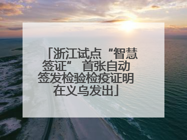 浙江试点“智慧签证” 首张自动签发检验检疫证明在义乌发出