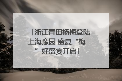 浙江青田杨梅登陆上海豫园 盛夏“梅”好盛宴开启