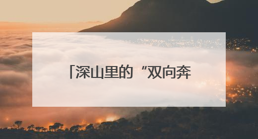 深山里的“双向奔赴”：驻村帮扶激活茅坪村致富引擎