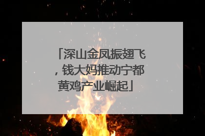 深山金凤振翅飞，钱大妈推动宁都黄鸡产业崛起