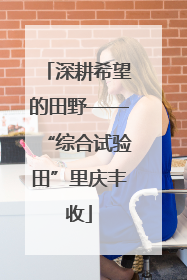 深耕希望的田野——“综合试验田”里庆丰收