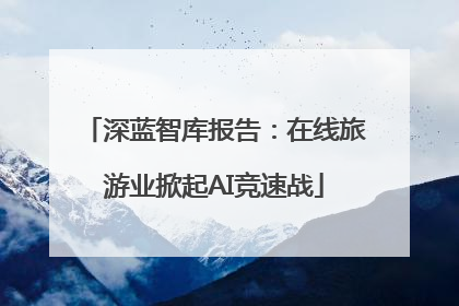 深蓝智库报告：在线旅游业掀起AI竞速战
