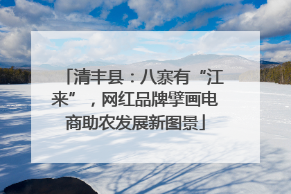 清丰县：八寨有“江来”，网红品牌擘画电商助农发展新图景