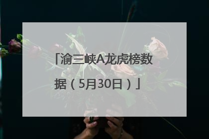 渝三峡A龙虎榜数据（5月30日）
