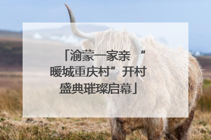 渝蒙一家亲 “暖城重庆村”开村盛典璀璨启幕