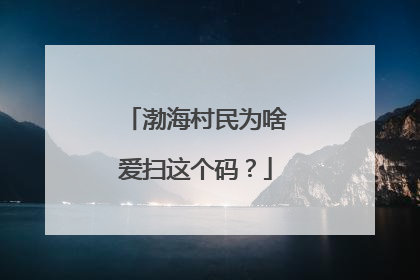 渤海村民为啥爱扫这个码？