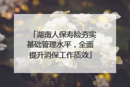 湖南人保寿险夯实基础管理水平，全面提升消保工作质效