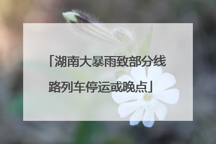 湖南大暴雨致部分线路列车停运或晚点