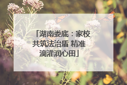 湖南娄底：家校共筑法治盾 精准滴灌润心田