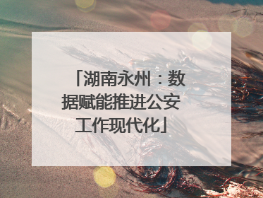 湖南永州：数据赋能推进公安工作现代化