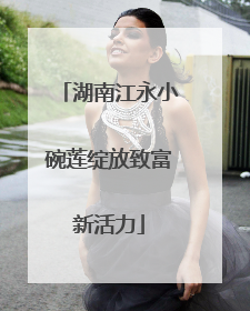 湖南江永小碗莲绽放致富新活力