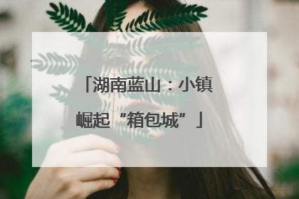 湖南蓝山：小镇崛起“箱包城”