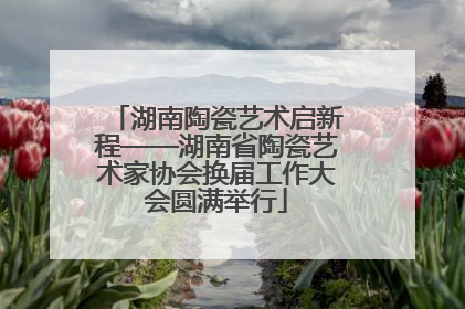 湖南陶瓷艺术启新程——湖南省陶瓷艺术家协会换届工作大会圆满举行