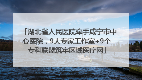 湖北省人民医院牵手咸宁市中心医院，9大专家工作室+9个专科联盟筑牢区域医疗网
