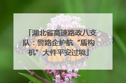 湖北省高速路政八支队：警路企护航“盾构机”大件平安过境