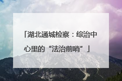 湖北通城检察：综治中心里的“法治前哨”