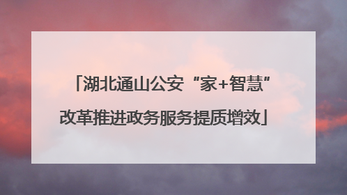 湖北通山公安“家+智慧”改革推进政务服务提质增效