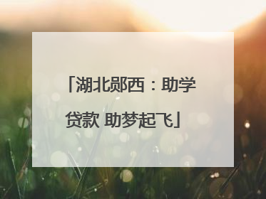 湖北郧西：助学贷款 助梦起飞