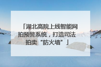 湖北高院上线智能网拍预警系统，打造司法拍卖“防火墙”