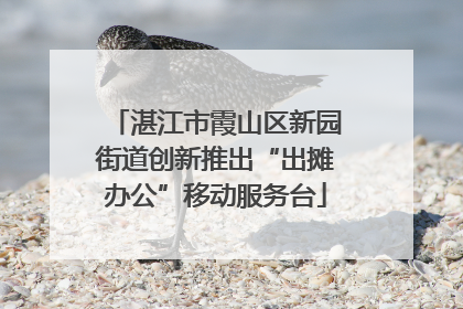 湛江市霞山区新园街道创新推出“出摊办公”移动服务台