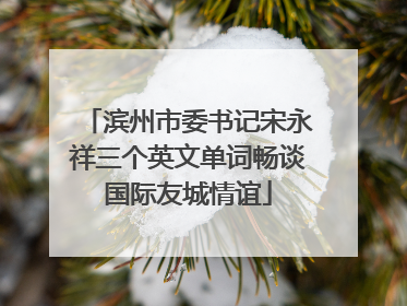 滨州市委书记宋永祥三个英文单词畅谈国际友城情谊