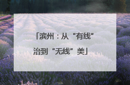 滨州：从“有线”治到“无线”美