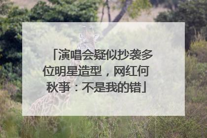 演唱会疑似抄袭多位明星造型，网红何秋亊：不是我的错