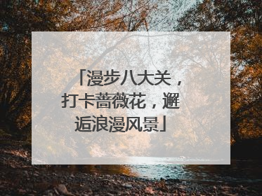 漫步八大关，打卡蔷薇花，邂逅浪漫风景