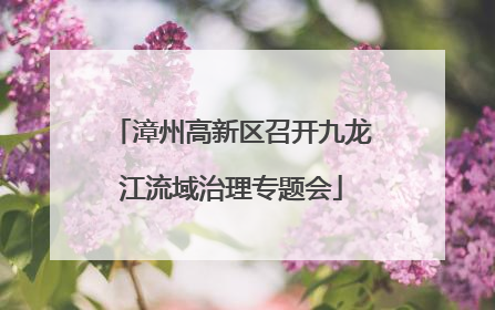 漳州高新区召开九龙江流域治理专题会