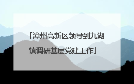 漳州高新区领导到九湖镇调研基层党建工作