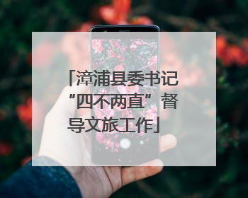 漳浦县委书记“四不两直”督导文旅工作