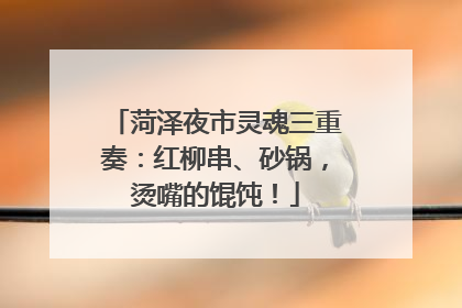 菏泽夜市灵魂三重奏：红柳串、砂锅，烫嘴的馄饨！