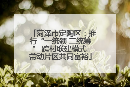 菏泽市定陶区：推行“一统领 三统筹” 跨村联建模式 带动片区共同富裕