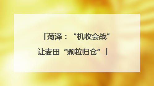 菏泽：“机收会战”让麦田“颗粒归仓”